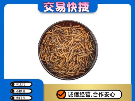 上海回收散虫草